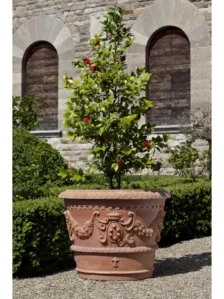 Czy Doniczka Z Terakoty Jest Dobra