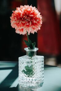 Jak Rozpoznac Krysztalowy Wazon